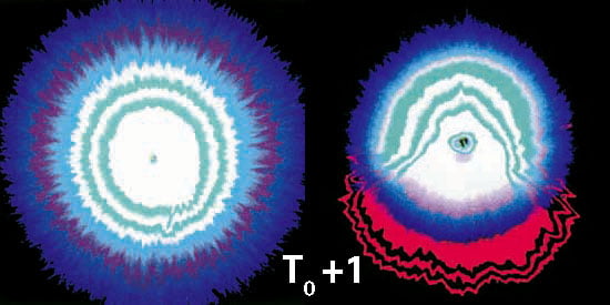 Colorplatebilder von Leitungswasser ohne und mit UMH Aufbereitung nach einem Tag Standzeit Colorplatebilder von Leitungswasser ohne und mit UMH Aufbereitung nach einem Tag Standzeit